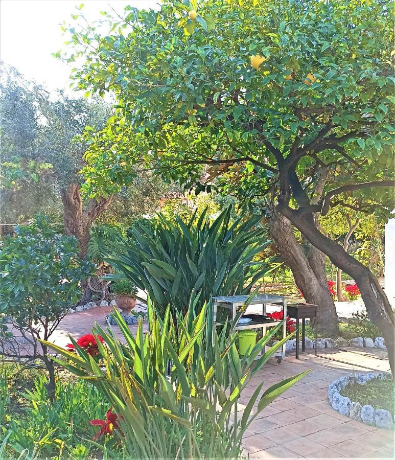 Seafront Apartments Garden House Taormina Ngoại thất bức ảnh