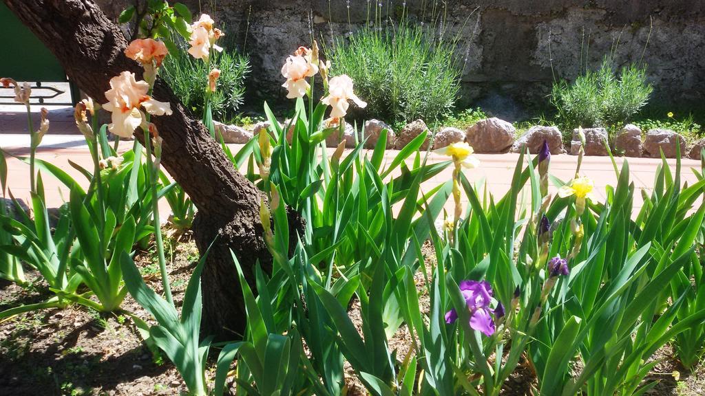 Seafront Apartments Garden House Taormina Phòng bức ảnh