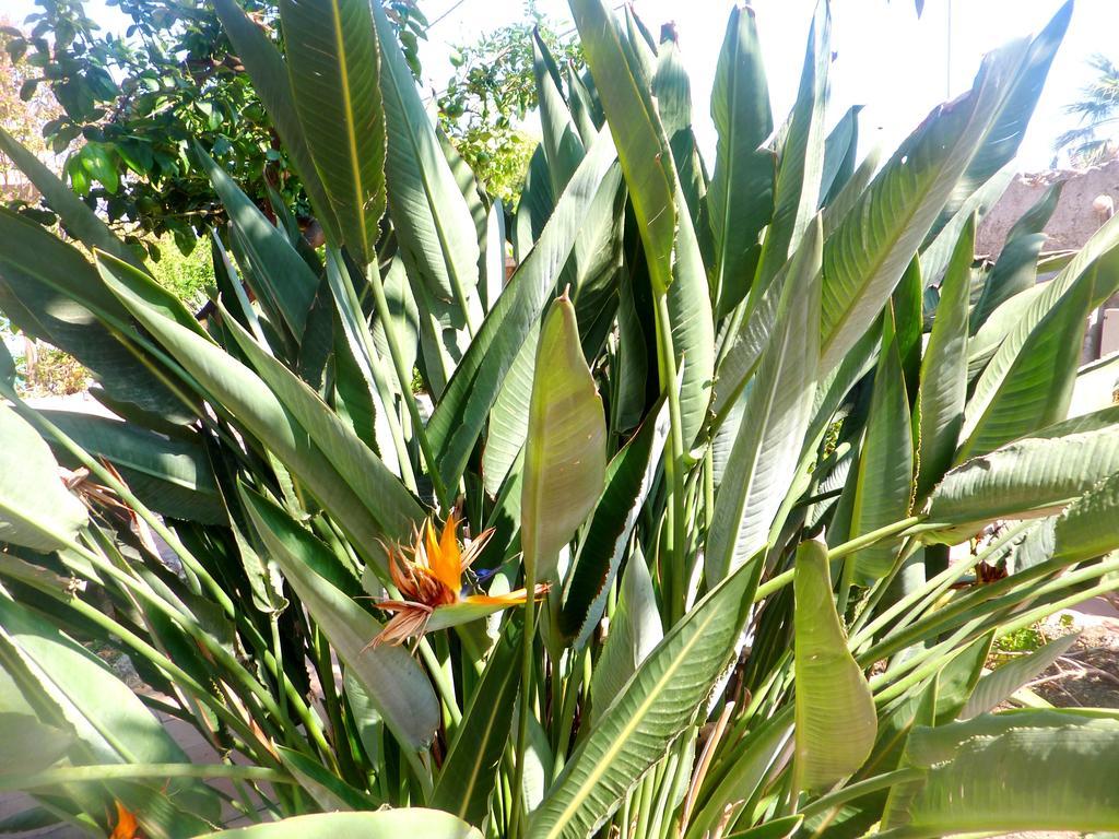 Seafront Apartments Garden House Taormina Phòng bức ảnh