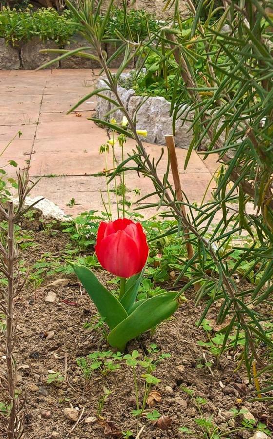 Seafront Apartments Garden House Taormina Ngoại thất bức ảnh